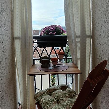 Apartman Element Kruševac Zewnętrze zdjęcie