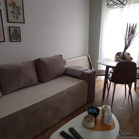 Apartman Element Kruševac Zewnętrze zdjęcie