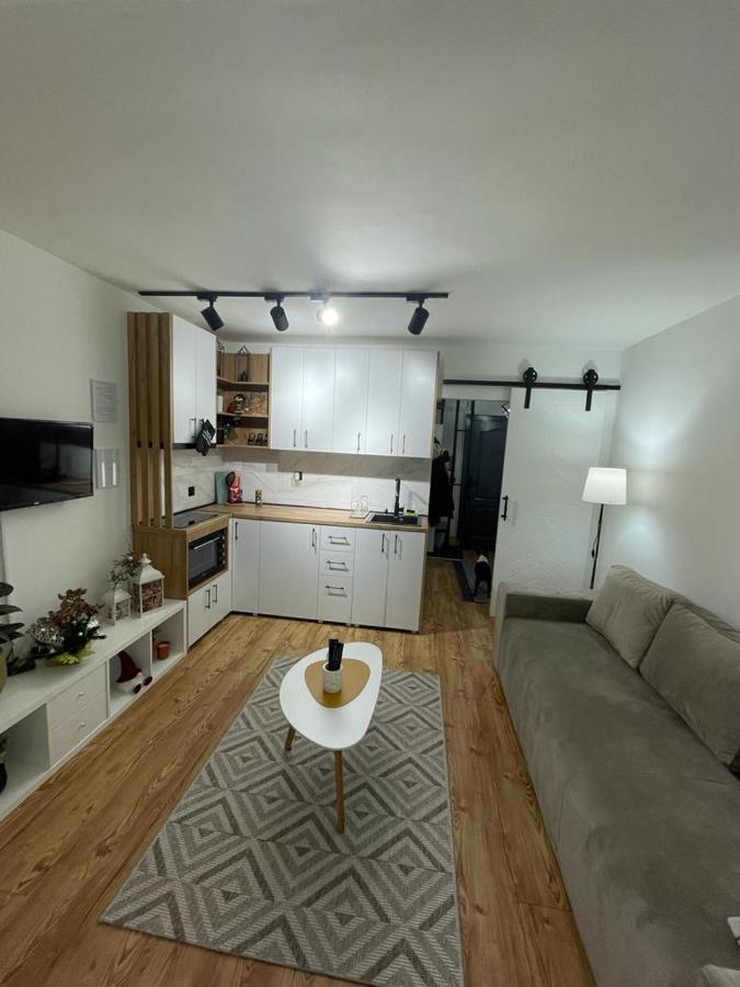 Apartman Element Kruševac Zewnętrze zdjęcie