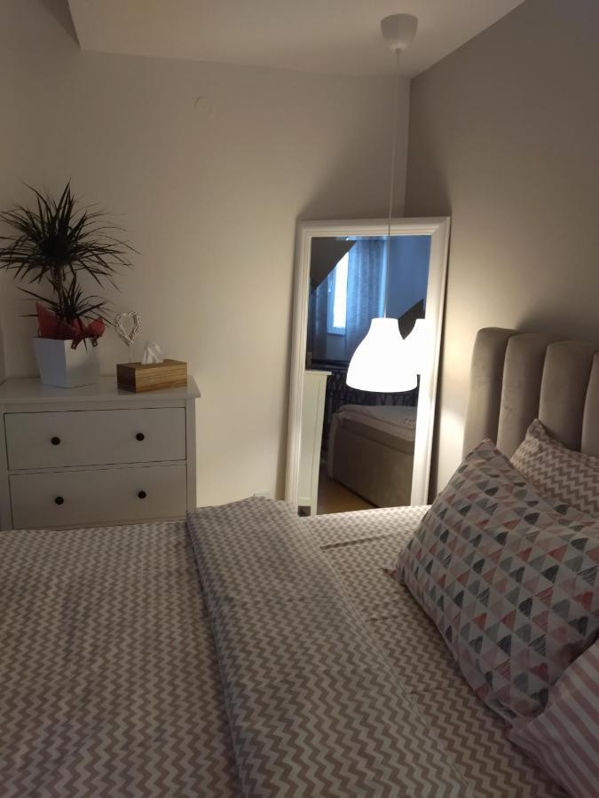 Apartman Element Kruševac Zewnętrze zdjęcie