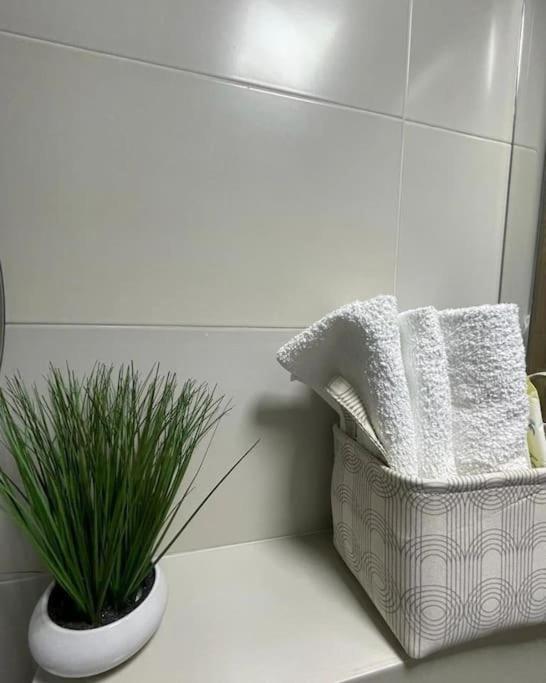Apartman Element Kruševac Zewnętrze zdjęcie
