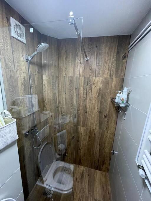 Apartman Element Kruševac Zewnętrze zdjęcie