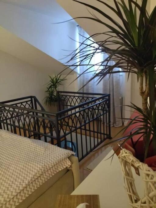 Apartman Element Kruševac Zewnętrze zdjęcie
